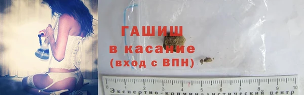 ПСИЛОЦИБИНОВЫЕ ГРИБЫ Новозыбков