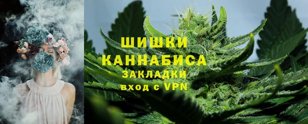 ПСИЛОЦИБИНОВЫЕ ГРИБЫ Новозыбков