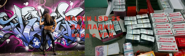 ПСИЛОЦИБИНОВЫЕ ГРИБЫ Новозыбков
