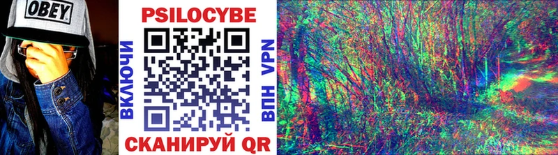 Псилоцибиновые грибы MAGIC MUSHROOMS Бирюч